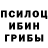 Псилоцибиновые грибы мицелий WINDARA