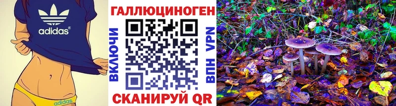 Галлюциногенные грибы прущие грибы маркетплейс клад Ильский